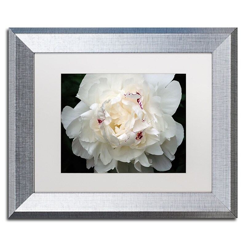 Trademark Fine Art ''Perfect Peony'' by Kurt Shaffer 11" x 14" White Matted Silver Frame (KS1-S1114MF) image 1