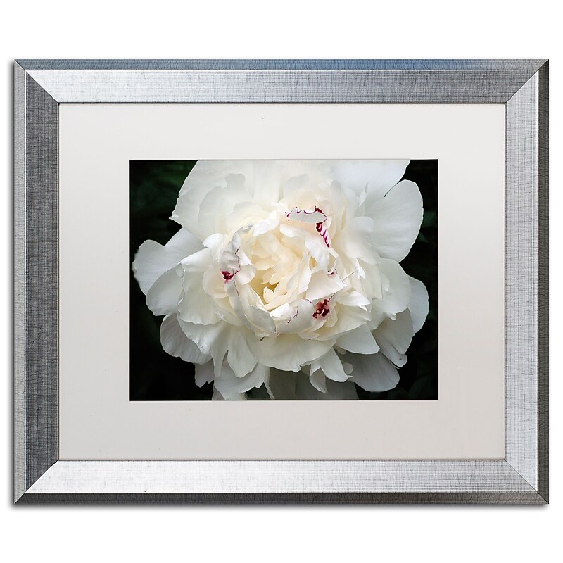 Trademark Fine Art ''Perfect Peony'' by Kurt Shaffer 16" x 20" White Matted Silver Frame (KS1-S1620MF) image 1
