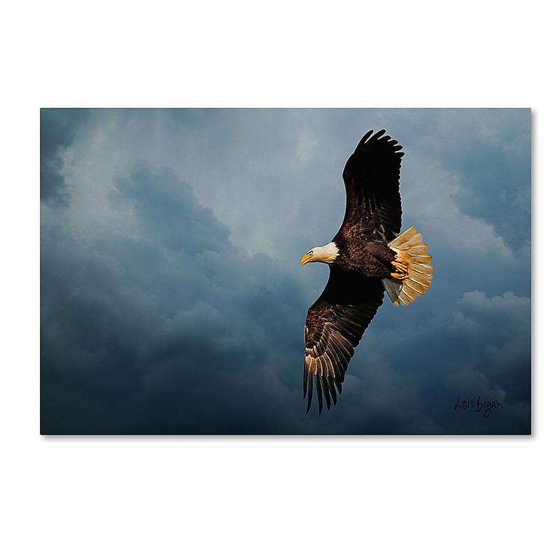 Trademark Fine Art ''Eagle in the Sky'' by Lois Bryan 12" x 19" Canvas Art (LBR035-C1219GG) image 1