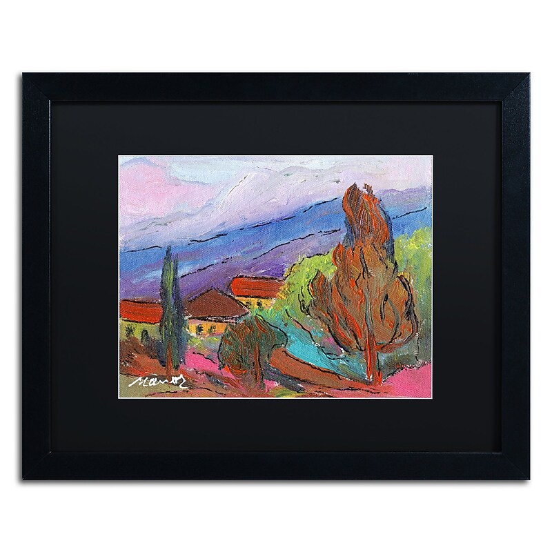 Trademark Fine Art ''Summer Blush'' by Manor Shadian 16" x 20" Black Matted Black Frame (MA0611-B1620BMF) image 1