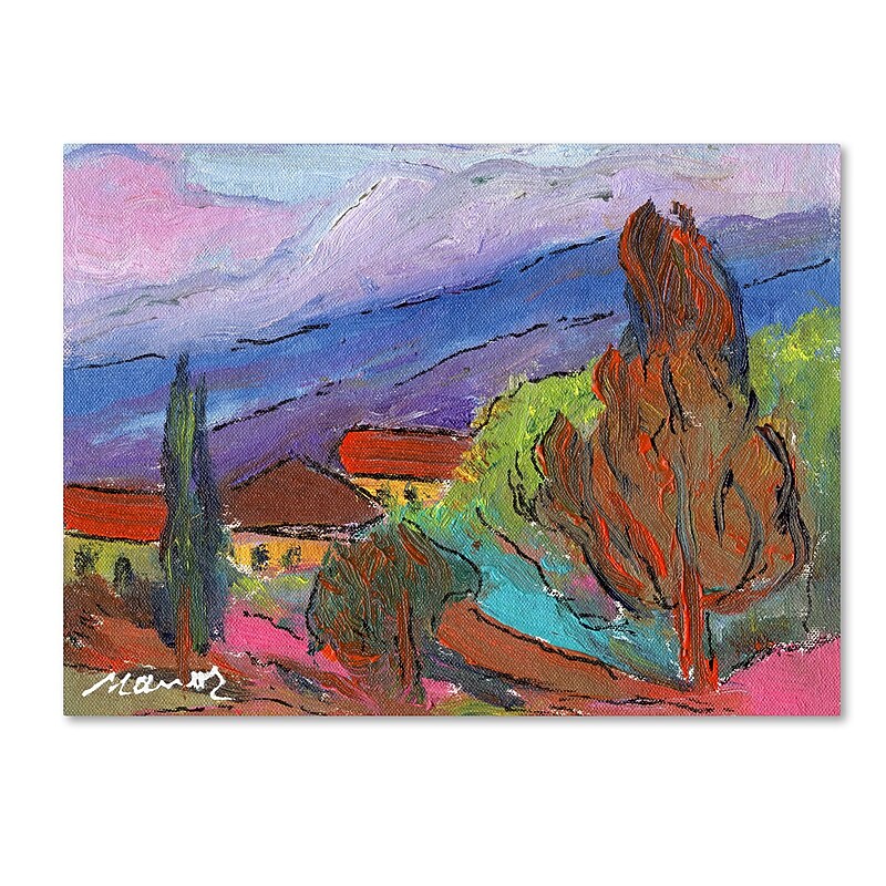 Trademark Fine Art ''Summer Blush'' by Manor Shadian 24" x 32" Canvas Art (MA0611-C2432GG) image 1