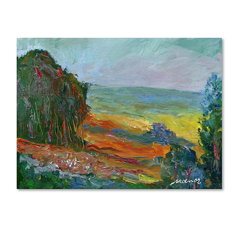 Trademark Fine Art ''Fall Fields'' by Manor Shadian 24" x 32" Canvas Art (MA0617-C2432GG) image 1