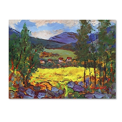 Trademark Fine Art ''Gilded Glade'' by Manor Shadian 14" x 19" Canvas Art (MA0619-C1419GG)