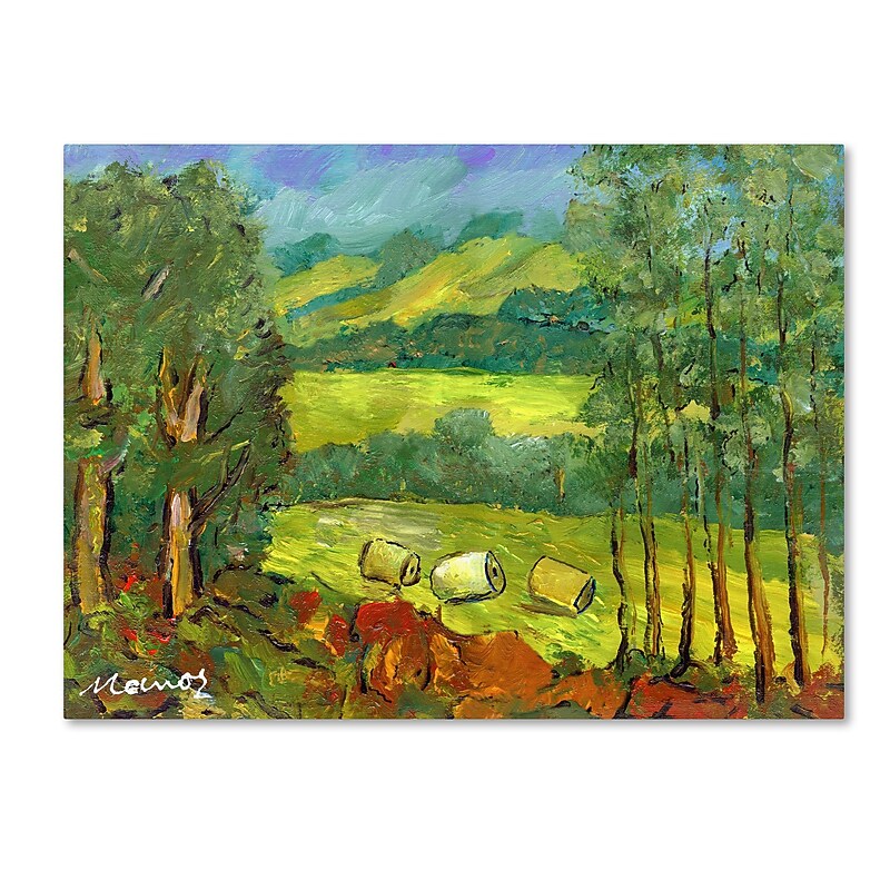 Trademark Fine Art ''Balds in the Field'' by Manor Shadian 24" x 32" Canvas Art (MA0622-C2432GG) image 1