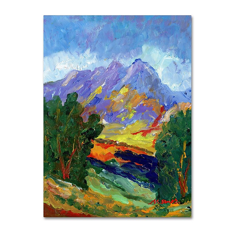 Trademark Fine Art ''Autumn Amber California North'' by Manor Shadian 35" x 47" Canvas Art (MA0623-C3547GG) image 1