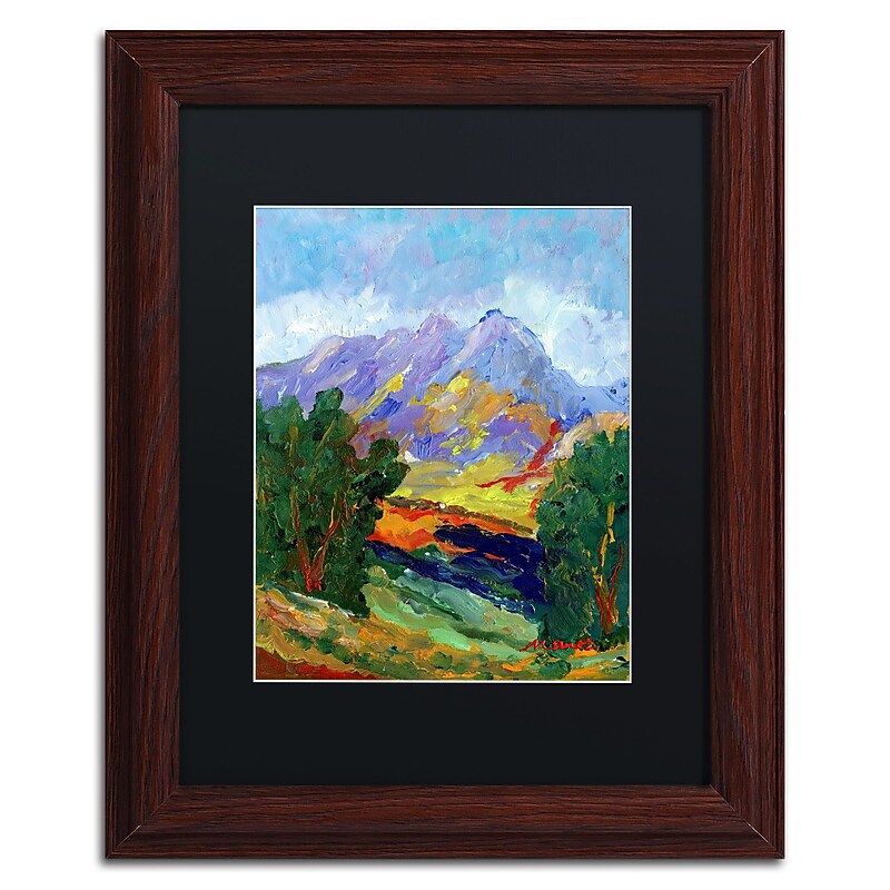 Trademark Fine Art ''Autumn Amber California North'' by Manor Shadian 11" x 14" Black Matted Wood Frame (MA0623-W1114BMF) image 1