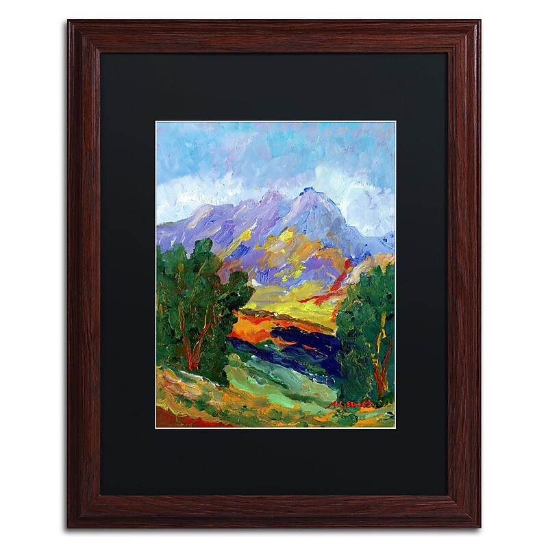 Trademark Fine Art ''Autumn Amber California North'' by Manor Shadian 16" x 20" Black Matted Wood Frame (MA0623-W1620BMF) image 1