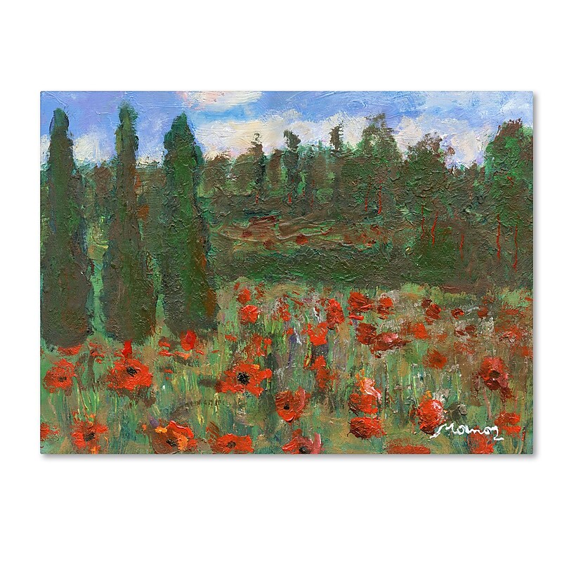 Trademark Fine Art ''Red Poppies in the Wood'' by Manor Shadian 24" x 32" Canvas Art (MA0624-C2432GG) image 1