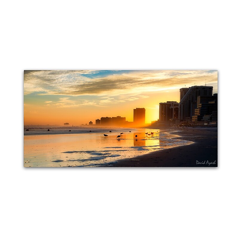 Trademark Fine Art ''Atlantic City Sunset'' by David Ayash 12" x 24" Canvas Art (MA0626-C1224GG) image 1