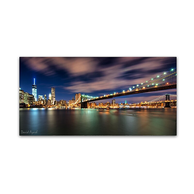 Trademark Fine Art ''Brooklyn Bridge and Downtown'' by David Ayash 24" x 47" Canvas Art (MA0628-C2447GG) image 1