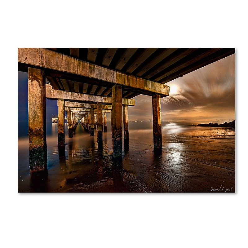 Trademark Fine Art ''Coney Island Pier by Moonlight'' by David Ayash 16" x 24" Canvas Art (MA0631-C1624GG) image 1