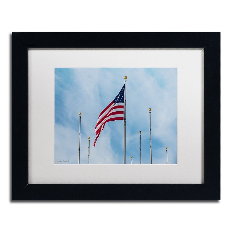 Trademark Fine Art ''Red White & Blue'' by David Ayash 11" x 14" White Matted Black Frame (MA0640-B1114MF) image 1
