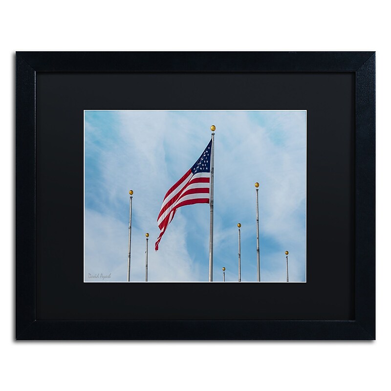 Trademark Fine Art ''Red White & Blue'' by David Ayash 16" x 20" Black Matted Black Frame (MA0640-B1620BMF) image 1
