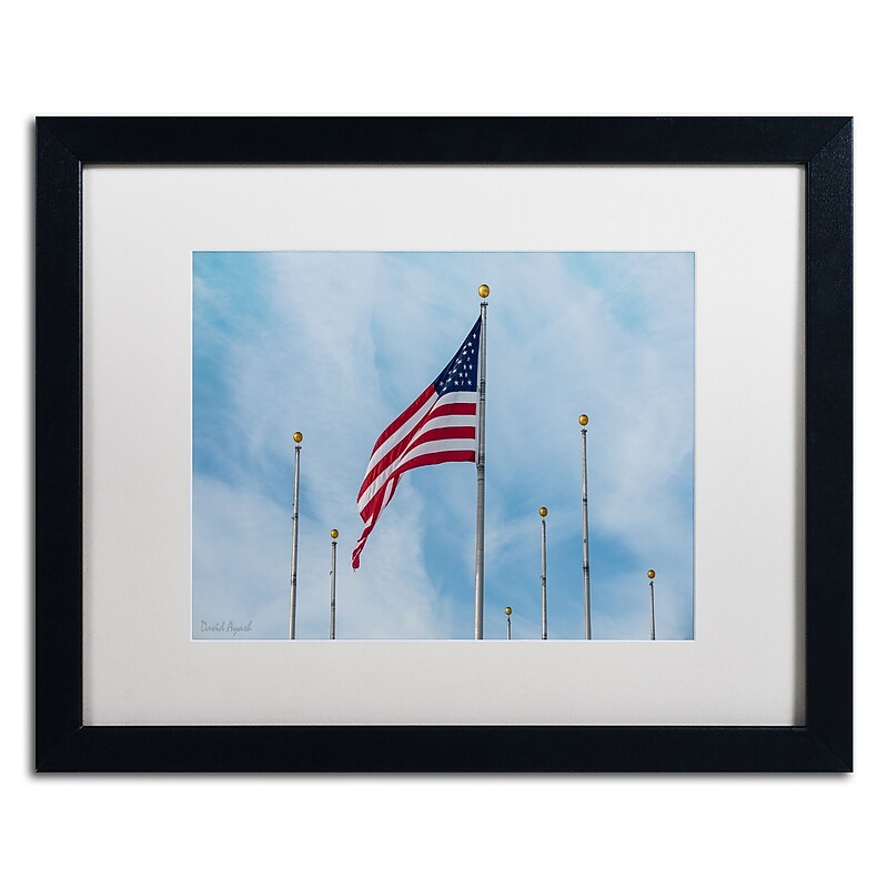 Trademark Fine Art ''Red White & Blue'' by David Ayash 16" x 20" White Matted Black Frame (MA0640-B1620MF) image 1
