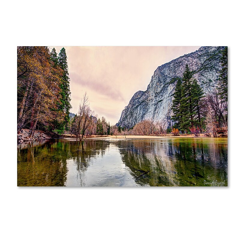 Trademark Fine Art ''Yosemite Valley'' by David Ayash 22" x 32" Canvas Art (MA0645-C2232GG) image 1