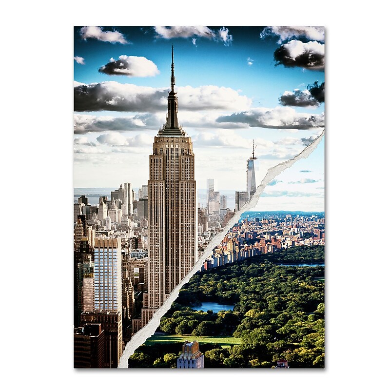 Trademark Fine Art ''Head in the Clouds'' by Philippe Hugonnard 18" x 24" Canvas Art (PH0080-C1824GG) image 1