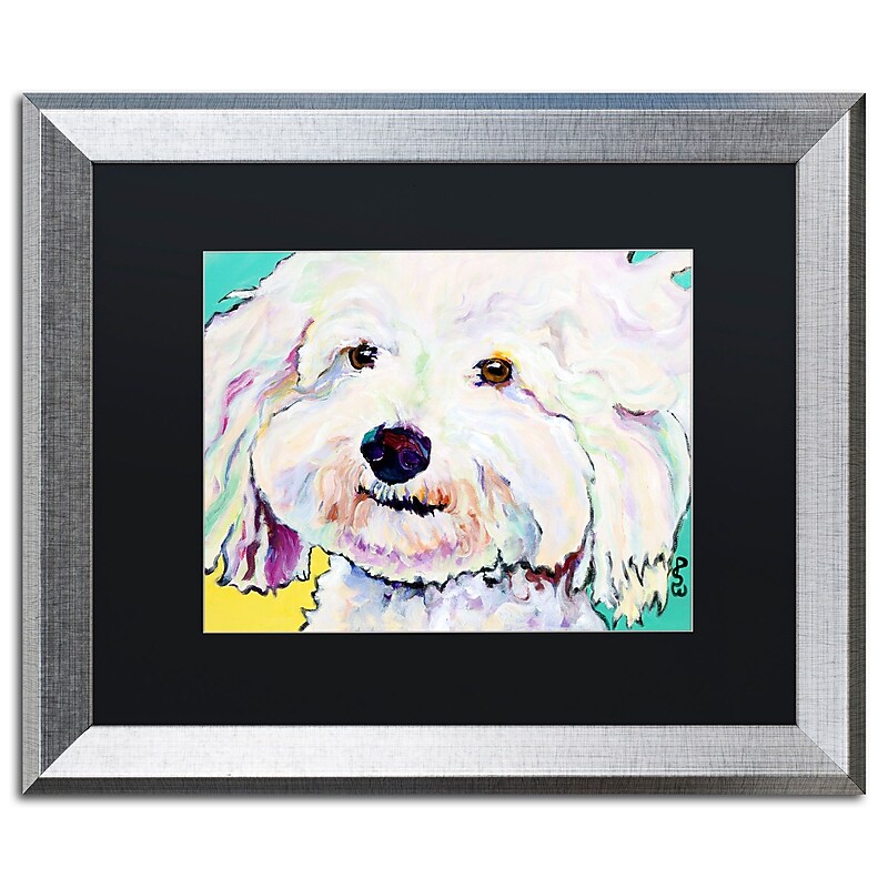 Trademark Fine Art ''Buttons'' by Pat Saunders 16" x 20" Black Matted Silver Frame (PS018-S1620BMF) image 1