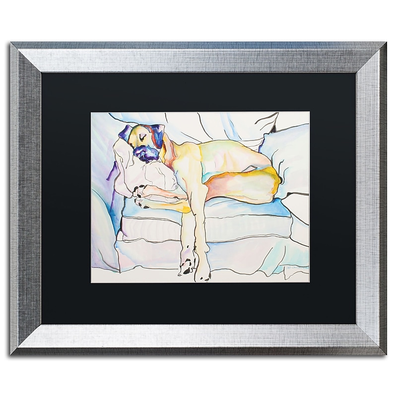 Trademark Fine Art ''Sleeping Beauty'' by Pat Saunders 16" x 20" Black Matted Silver Frame (PS076-S1620BMF) image 1