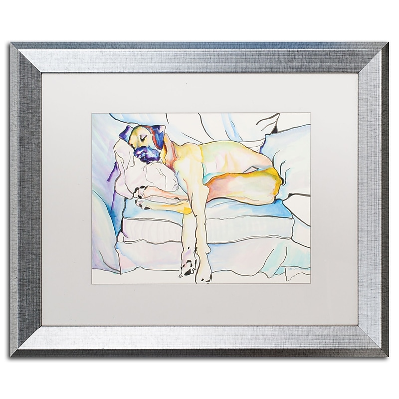 Trademark Fine Art ''Sleeping Beauty'' by Pat Saunders 16" x 20" White Matted Silver Frame (PS076-S1620MF) image 1