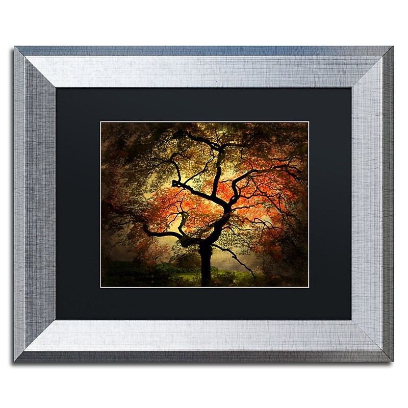 Trademark Fine Art ''Japanese'' by Philippe Sainte-Laudy 11" x 14" Black Matted Silver Frame (PSL020-S1114BMF) image 1