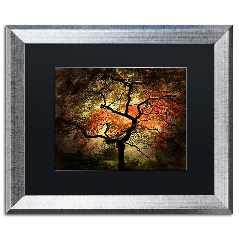 Trademark Fine Art ''Japanese'' by Philippe Sainte-Laudy 16" x 20" Black Matted Silver Frame (PSL020-S1620BMF) image 1