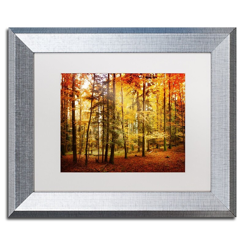 Trademark Fine Art ''Fall Color'' by Philippe Sainte-Laudy 11" x 14" White Matted Silver Frame (PSL0225-S1114MF) image 1