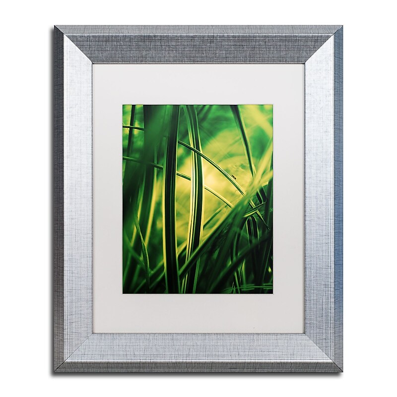 Trademark Fine Art ''Miniature'' by Philippe Sainte-Laudy 11" x 14" White Matted Silver Frame (PSL0233-S1114MF) image 1