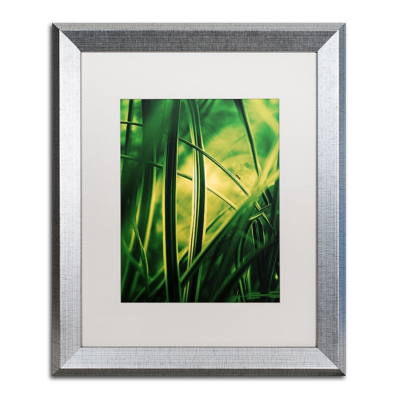 Trademark Fine Art ''Miniature'' by Philippe Sainte-Laudy 16" x 20" White Matted Silver Frame (PSL0233-S1620MF) image 1