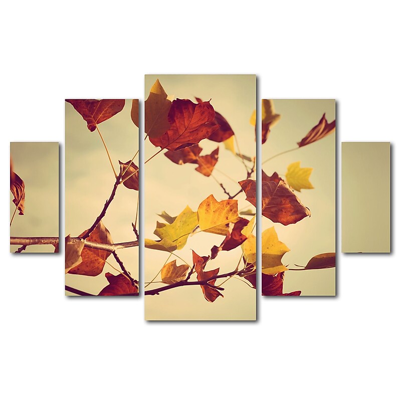 Trademark Fine Art ''Still Fall'' by Philippe Sainte-Laudy 3.3' x 4.8' Multi Panel Art Set (PSL0416-P5-SET) image 1