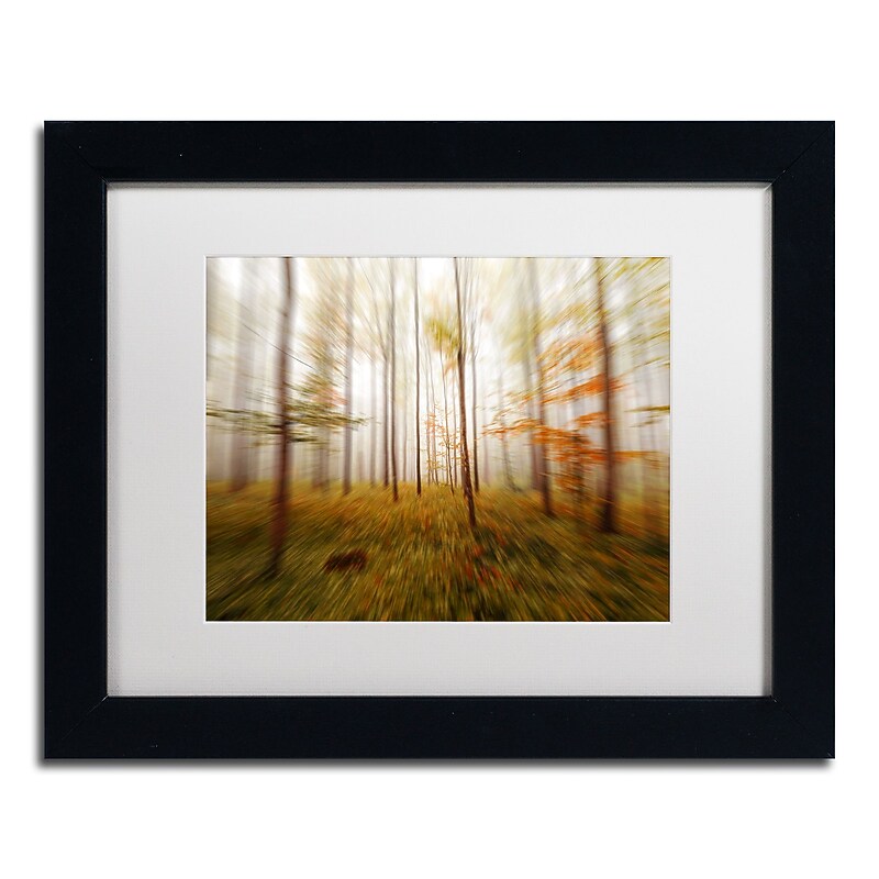 Trademark Fine Art ''Autumn Go Fast'' by Philippe Sainte-Laudy 11" x 14" White Matted Black Frame (PSL0419-B1114MF) image 1