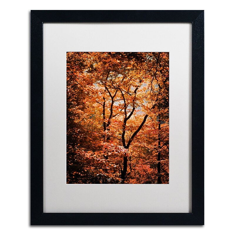 Trademark Fine Art ''Autumn Whispers'' by Philippe Sainte-Laudy 16" x 20" White Matted Black Frame (PSL0421-B1620MF) image 1
