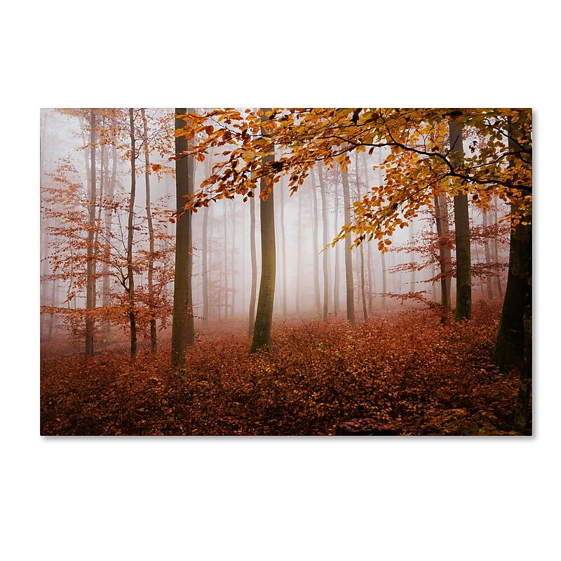 Trademark Fine Art ''Breathe Me'' by Philippe Sainte-Laudy 16" x 24" Canvas Art (PSL0422-C1624GG) image 1