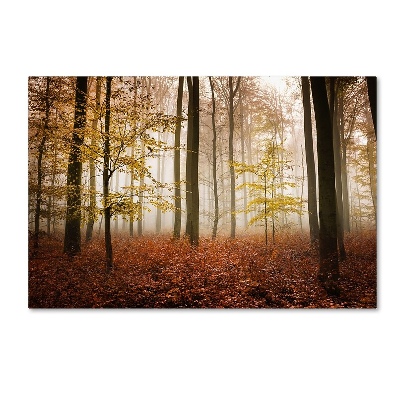 Trademark Fine Art ''Calmness'' by Philippe Sainte-Laudy 16" x 24" Canvas Art (PSL0424-C1624GG) image 1