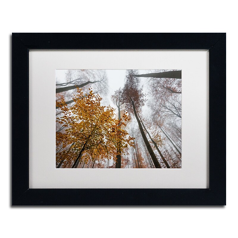 Trademark Fine Art ''Daydreamer'' by Philippe Sainte-Laudy 11" x 14" White Matted Black Frame (PSL0425-B1114MF) image 1