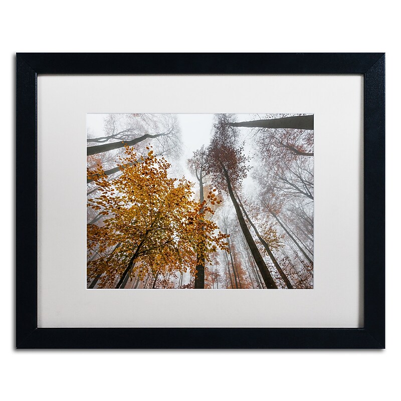 Trademark Fine Art ''Daydreamer'' by Philippe Sainte-Laudy 16" x 20" White Matted Black Frame (PSL0425-B1620MF) image 1