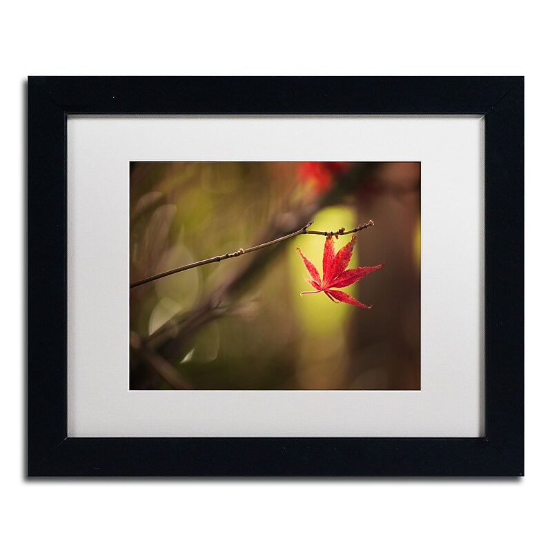 Trademark Fine Art ''Don't Give Up'' by Philippe Sainte-Laudy 11" x 14" White Matted Black Frame (PSL0427-B1114MF) image 1