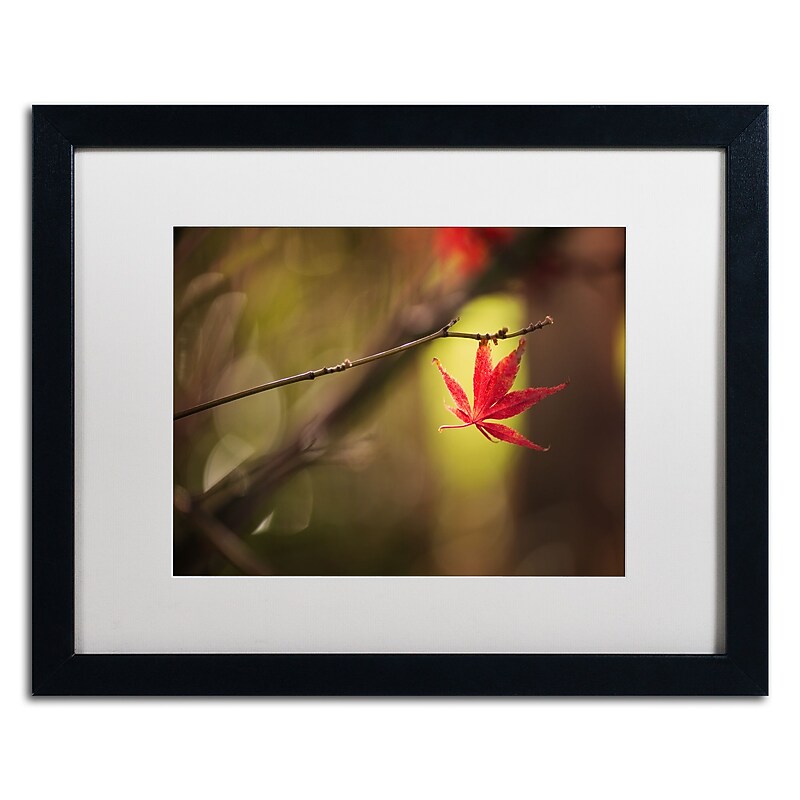 Trademark Fine Art ''Don't Give Up'' by Philippe Sainte-Laudy 16" x 20" White Matted Black Frame (PSL0427-B1620MF) image 1