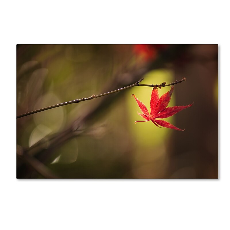 Trademark Fine Art ''Don't Give Up'' by Philippe Sainte-Laudy 22" x 32" Canvas Art (PSL0427-C2232GG) image 1