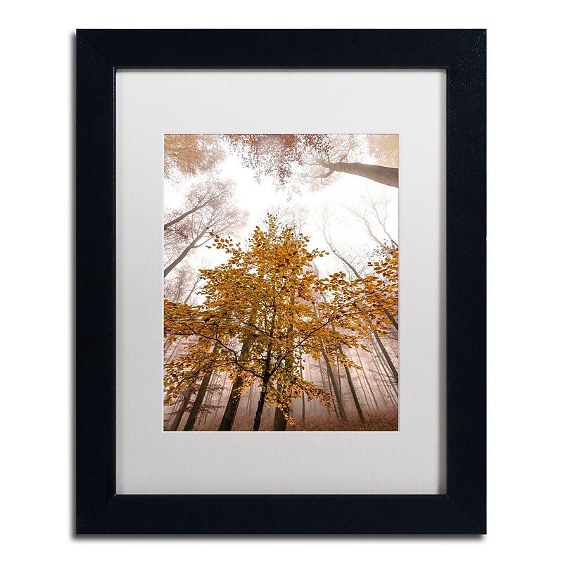 Trademark Fine Art ''Foggy Days'' by Philippe Sainte-Laudy 11" x 14" White Matted Black Frame (PSL0428-B1114MF) image 1