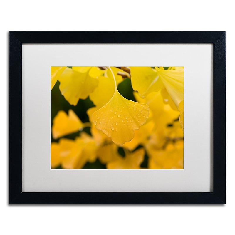 Trademark Fine Art ''Ginkgo in the Rain'' by Philippe Sainte-Laudy 16" x 20" White Matted Black Frame (PSL0431-B1620MF) image 1