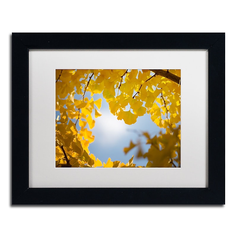 Trademark Fine Art ''Ginkgo Leaves in Autumn'' by Philippe Sainte-Laudy 11" x 14" White Matted Black Frame (PSL0432-B1114MF) image 1