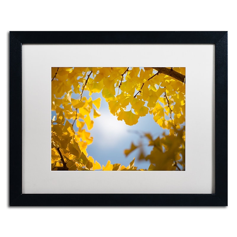 Trademark Fine Art ''Ginkgo Leaves in Autumn'' by Philippe Sainte-Laudy 16" x 20" White Matted Black Frame (PSL0432-B1620MF) image 1