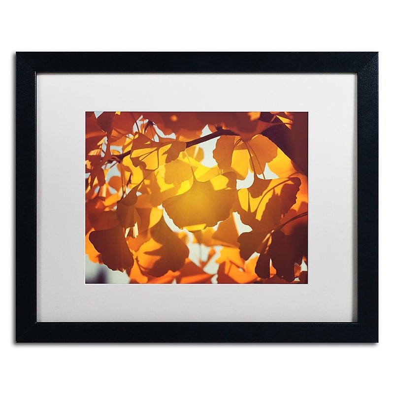 Trademark Fine Art ''Ginkgo Leaves'' by Philippe Sainte-Laudy 16" x 20" White Matted Black Frame (PSL0433-B1620MF) image 1