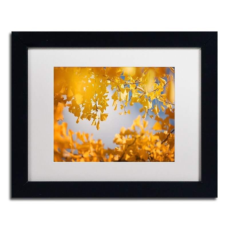 Trademark Fine Art ''Ginkgophytes'' by Philippe Sainte-Laudy 11" x 14" White Matted Black Frame (PSL0434-B1114MF) image 1