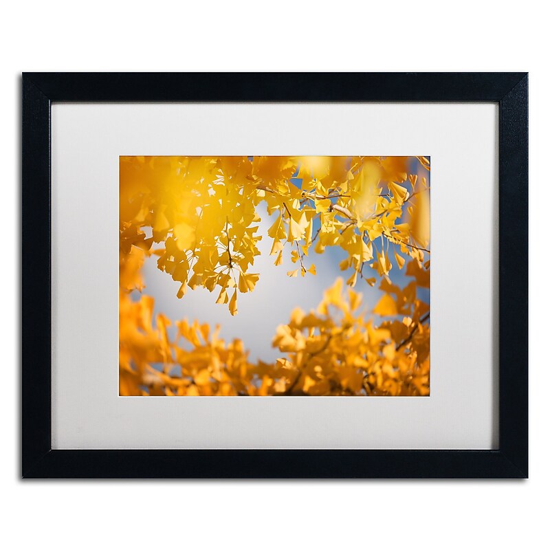 Trademark Fine Art ''Ginkgophytes'' by Philippe Sainte-Laudy 16" x 20" White Matted Black Frame (PSL0434-B1620MF) image 1
