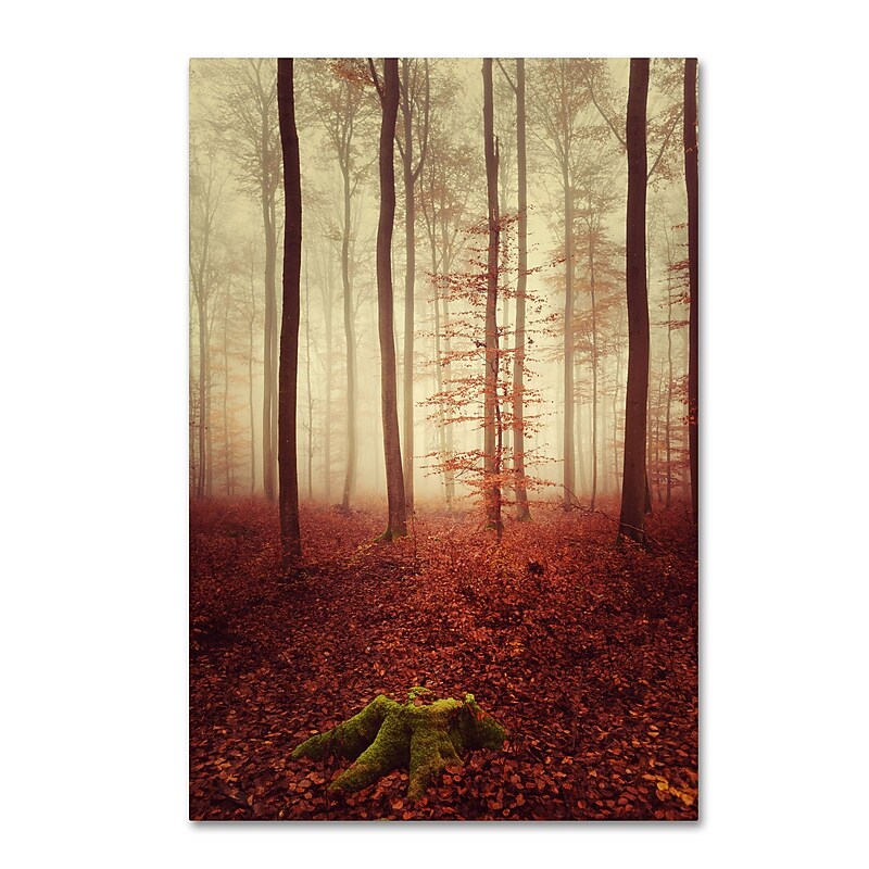 Trademark Fine Art ''Land of the Free'' by Philippe Sainte-Laudy 22" x 32" Canvas Art (PSL0436-C2232GG) image 1