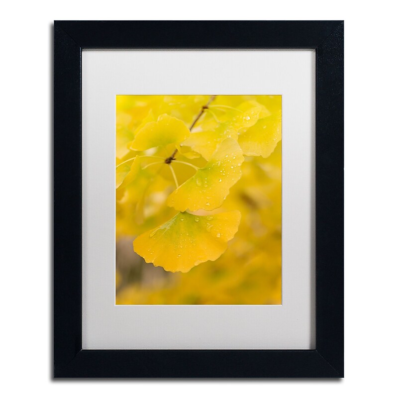 Trademark Fine Art ''Millennium'' by Philippe Sainte-Laudy 11" x 14" White Matted Black Frame (PSL0438-B1114MF) image 1