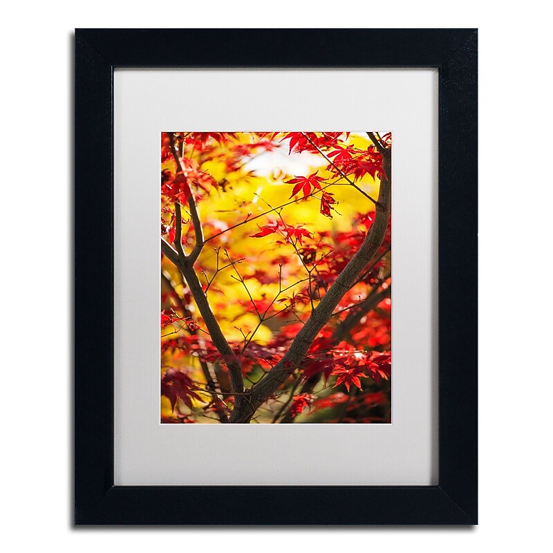 Trademark Fine Art ''Morning Jive'' by Philippe Sainte-Laudy 11" x 14" White Matted Black Frame (PSL0439-B1114MF) image 1