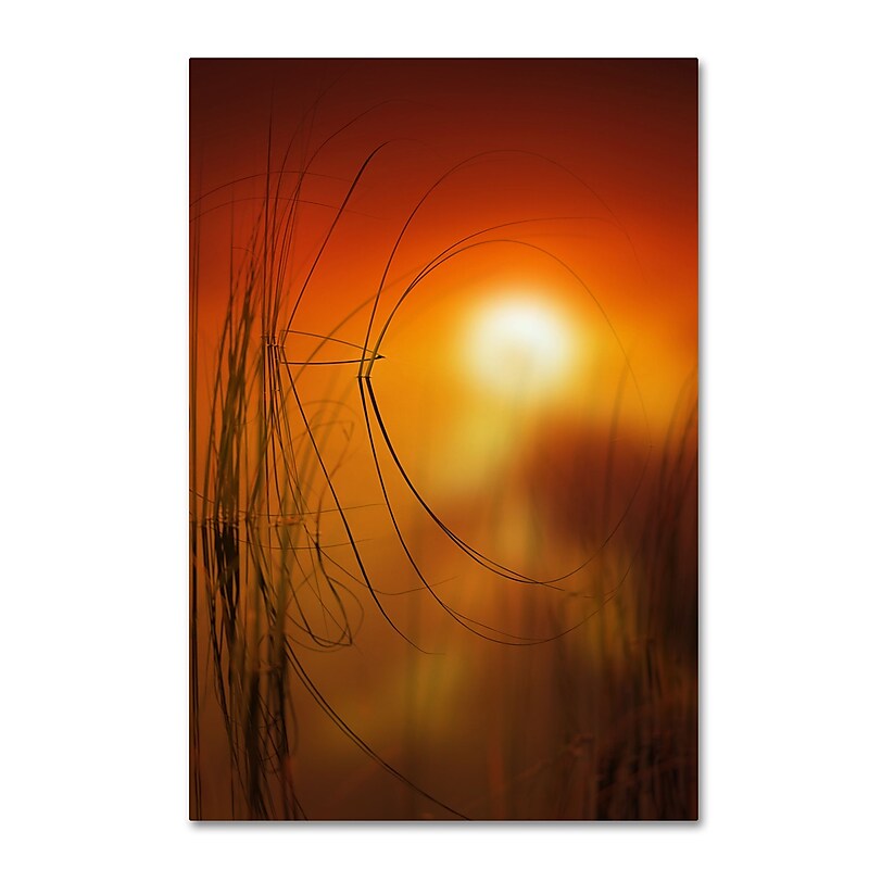Trademark Fine Art ''Nature Time Machine'' by Philippe Sainte-Laudy 12" x 19" Canvas Art (PSL0440-C1219GG) image 1
