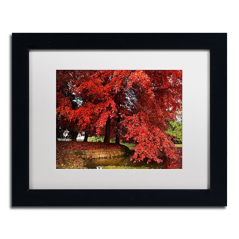 Trademark Fine Art ''October'' by Philippe Sainte-Laudy 11" x 14" White Matted Black Frame (PSL0441-B1114MF) image 1